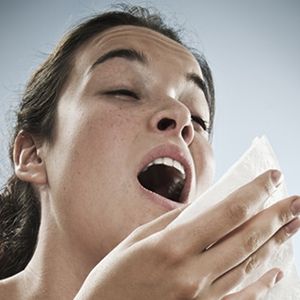 alergija na grinje